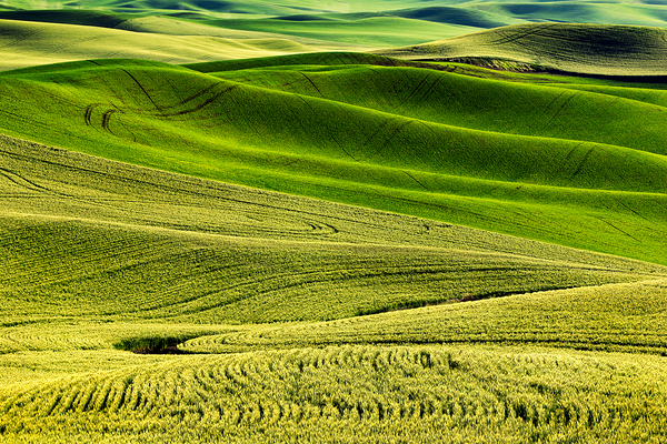 SLP0304 Palouse by Searching Lens Photography