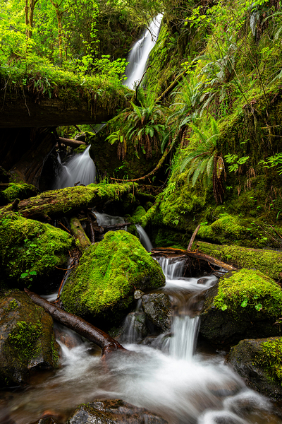 0333 Merriman Falls by Searching Lens Photography