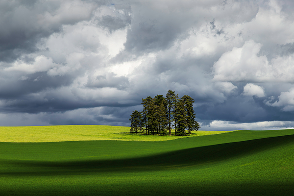 8806 Palouse by Searching Lens Photography