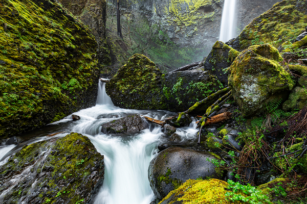 2526 Elowah Falls by Searching Lens Photography