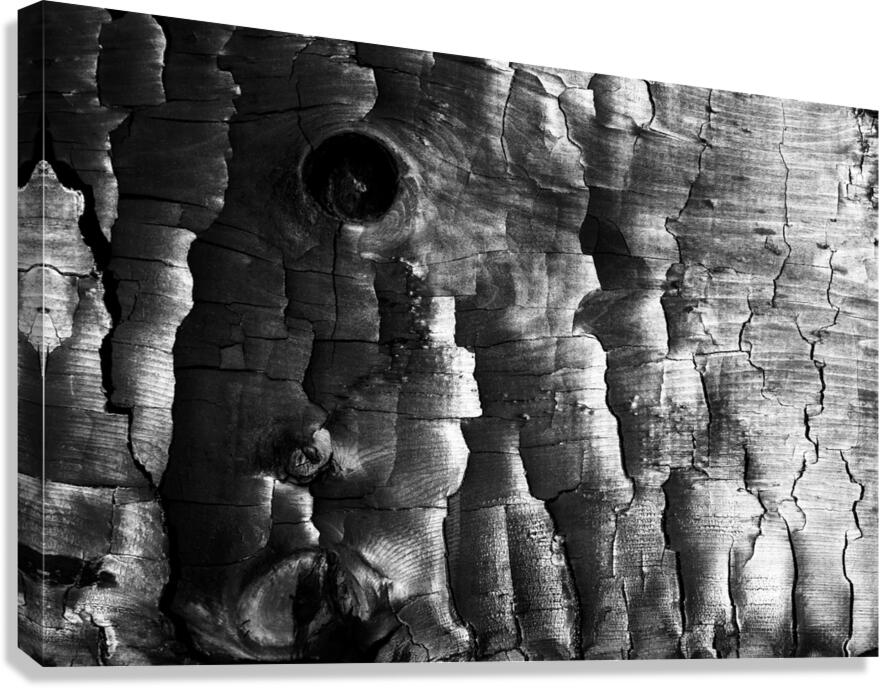 3650 Charred Wood Canvas Print