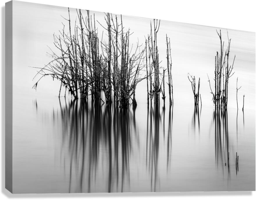 7240 Shadows Canvas Print