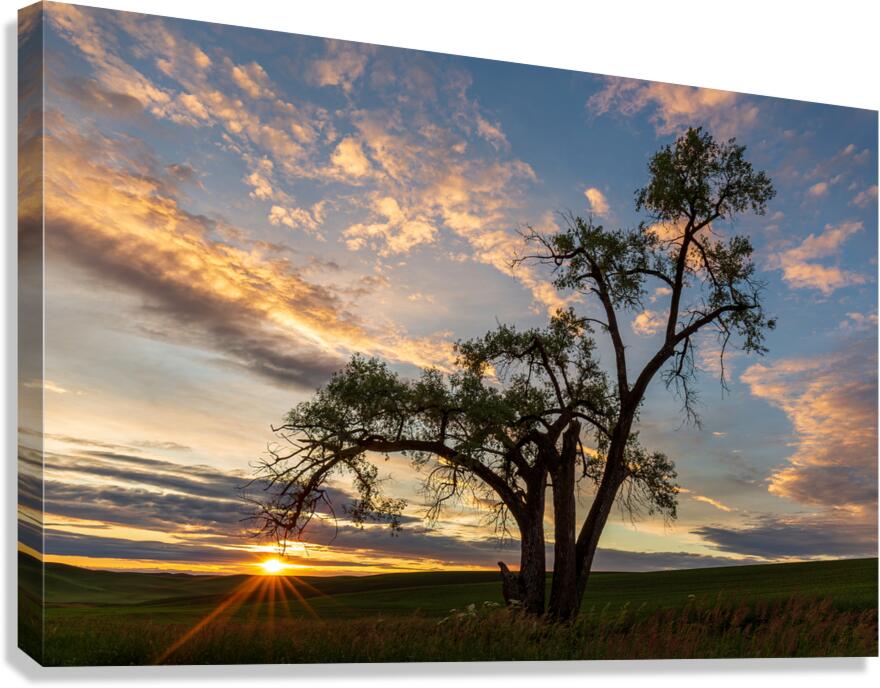 8455 Palouse Canvas Print