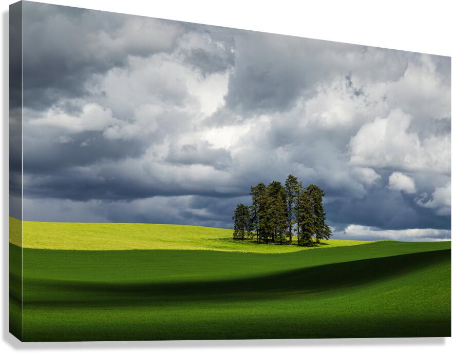 8806 Palouse Canvas Print