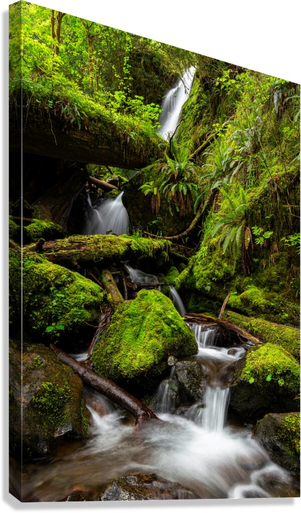0333 Merriman Falls Canvas Print