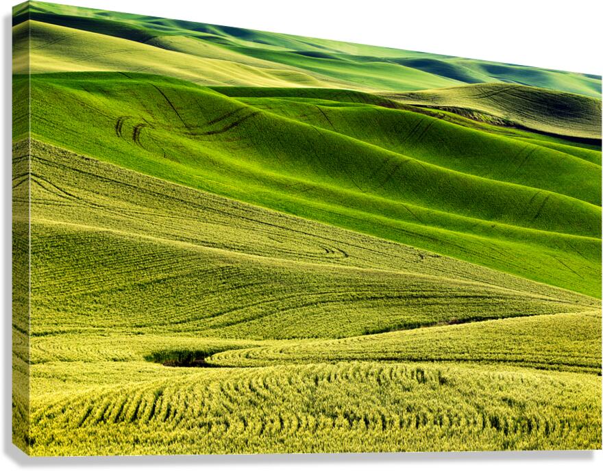 SLP0304 Palouse Canvas Print