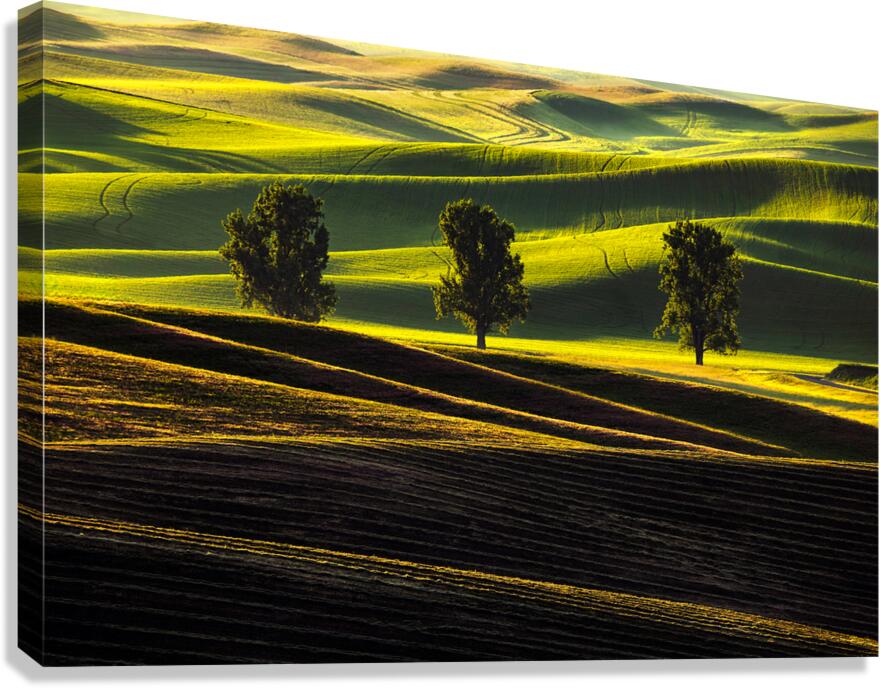 SLP0401 Palouse Canvas Print