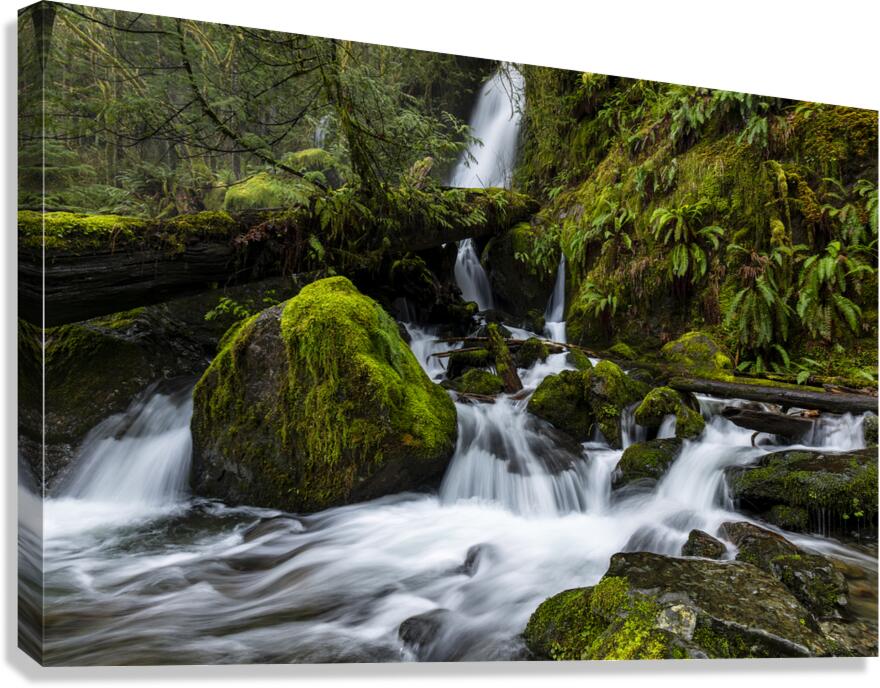 0361 Merriman Falls Canvas Print