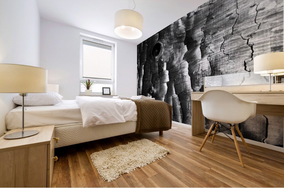 3650 Charred Wood Mural print