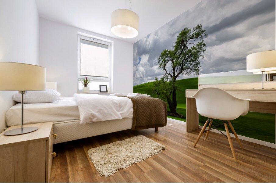 8720 Palouse Mural print