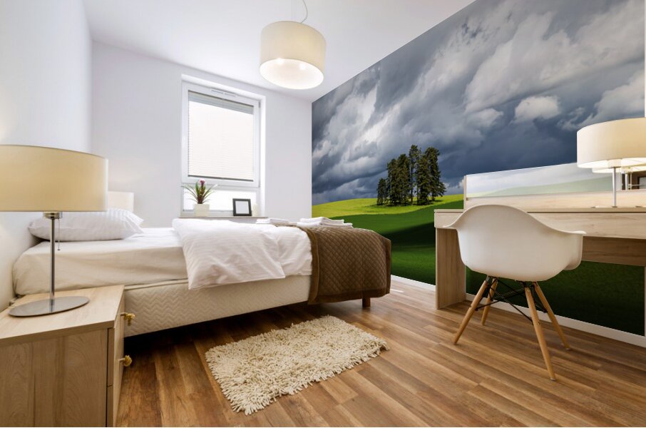 8806 Palouse Mural print