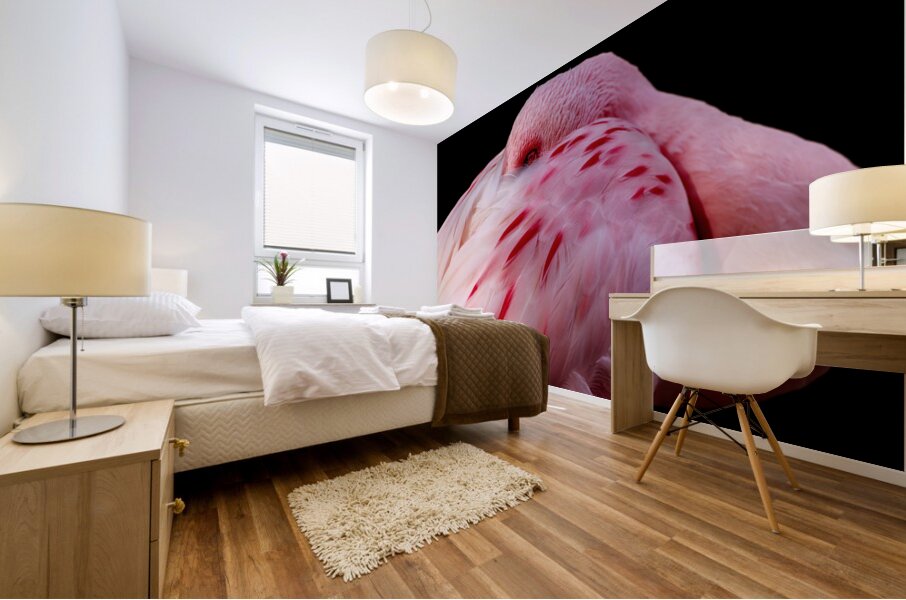 0212 Flamingo Mural print