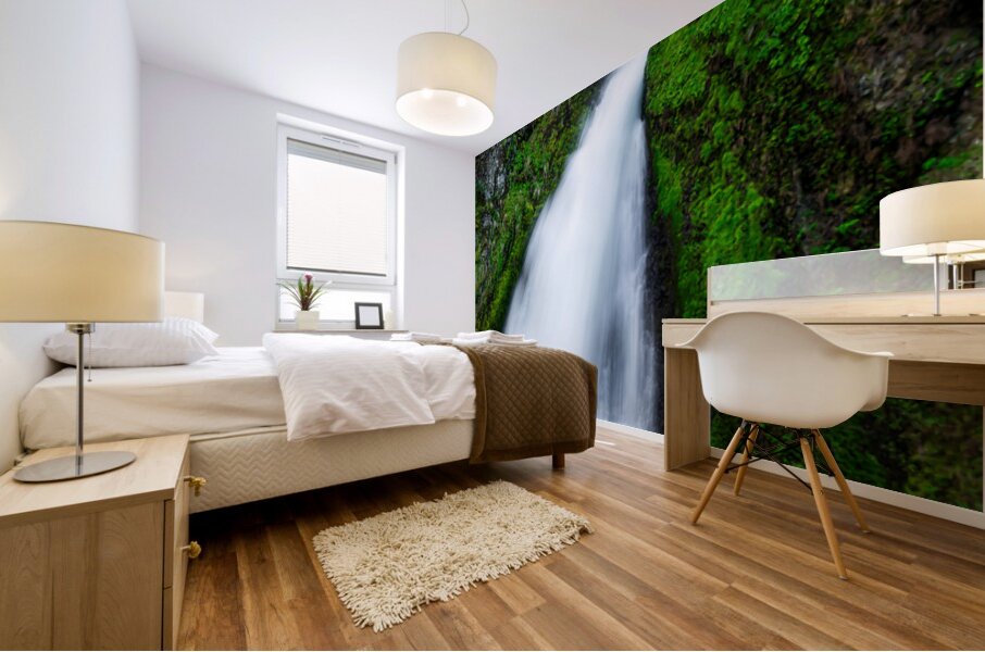 2557 Wahclella Falls Mural print