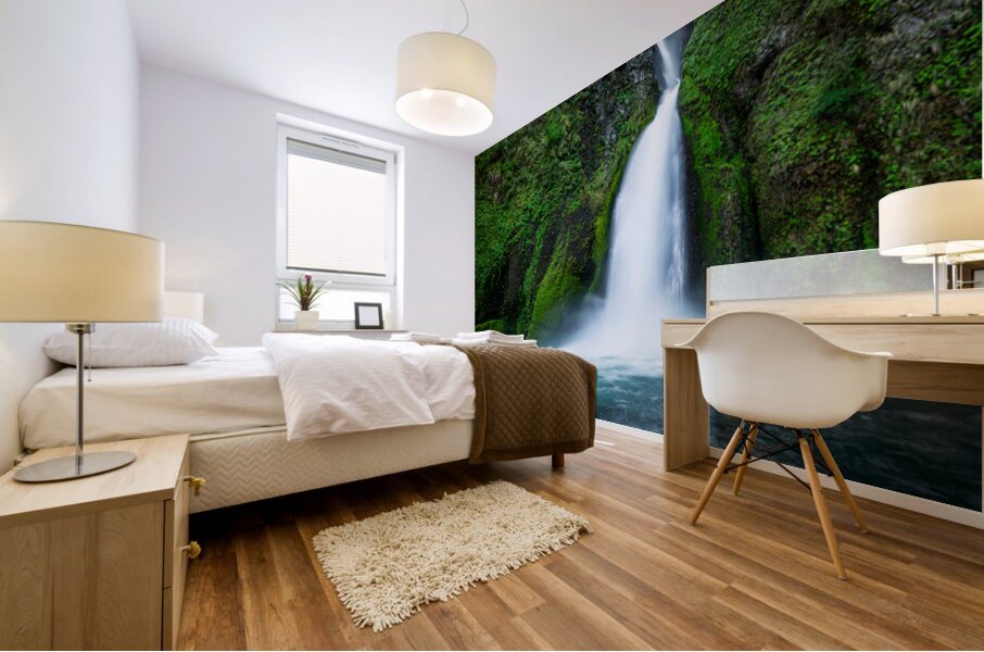 2572 Wahclella Falls Mural print