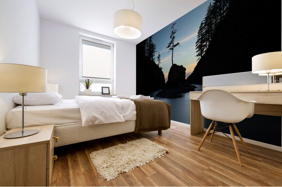 07A0160 Deadman’s Cove Mural print