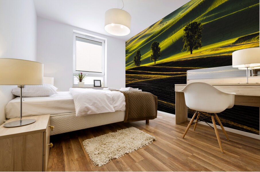 SLP0401 Palouse Mural print