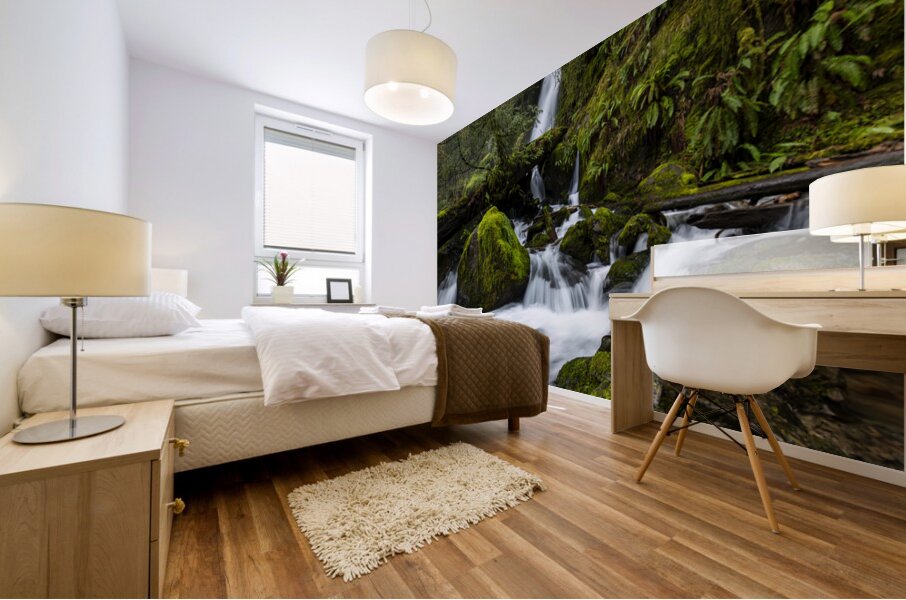 0361 Merriman Falls Mural print