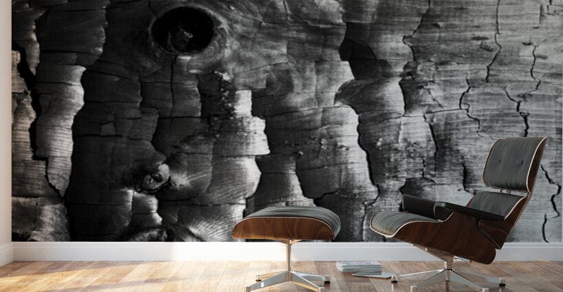 3650 Charred Wood Wall Murals