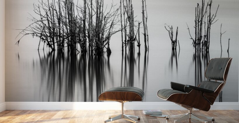 7240 Shadows Wall Murals