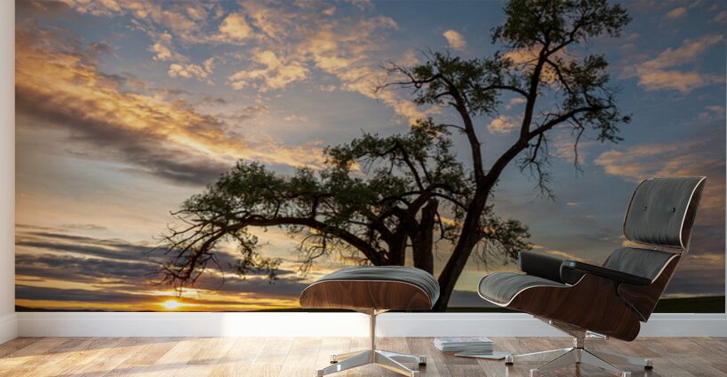 8455 Palouse Wall Murals