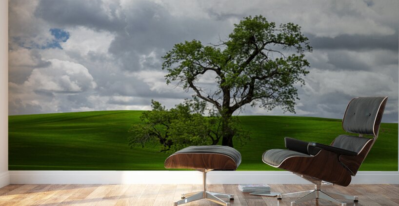 8720 Palouse Wall Murals