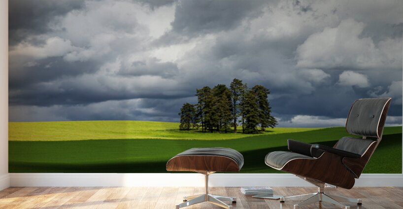 8806 Palouse Wall Murals