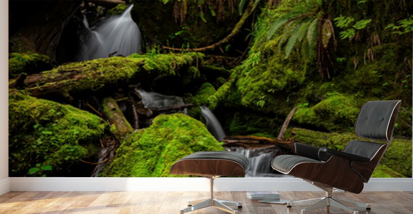 0333 Merriman Falls Wall Murals