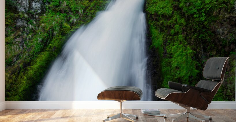 2557 Wahclella Falls Wall Murals