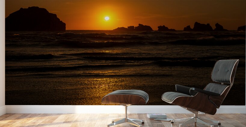 3782 Bandon Beach Wall Murals