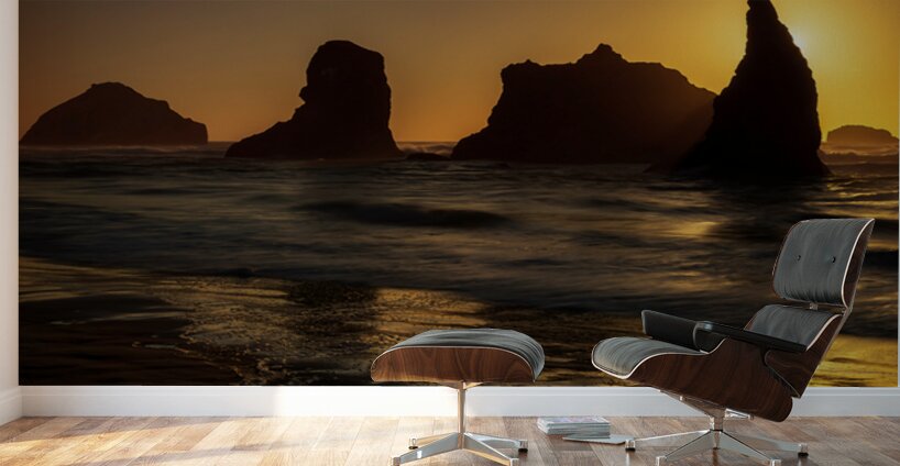 3950 Bandon Beach Wall Murals