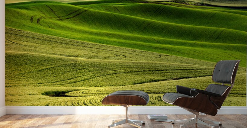 SLP0304 Palouse Wall Murals