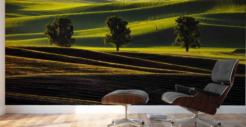 SLP0401 Palouse Wall Murals