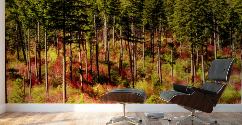 9395 Forest panorama Wall Murals