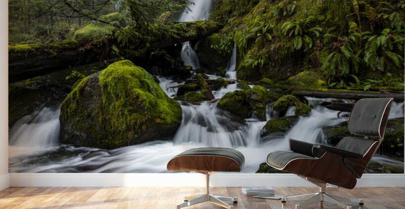 0361 Merriman Falls Wall Murals