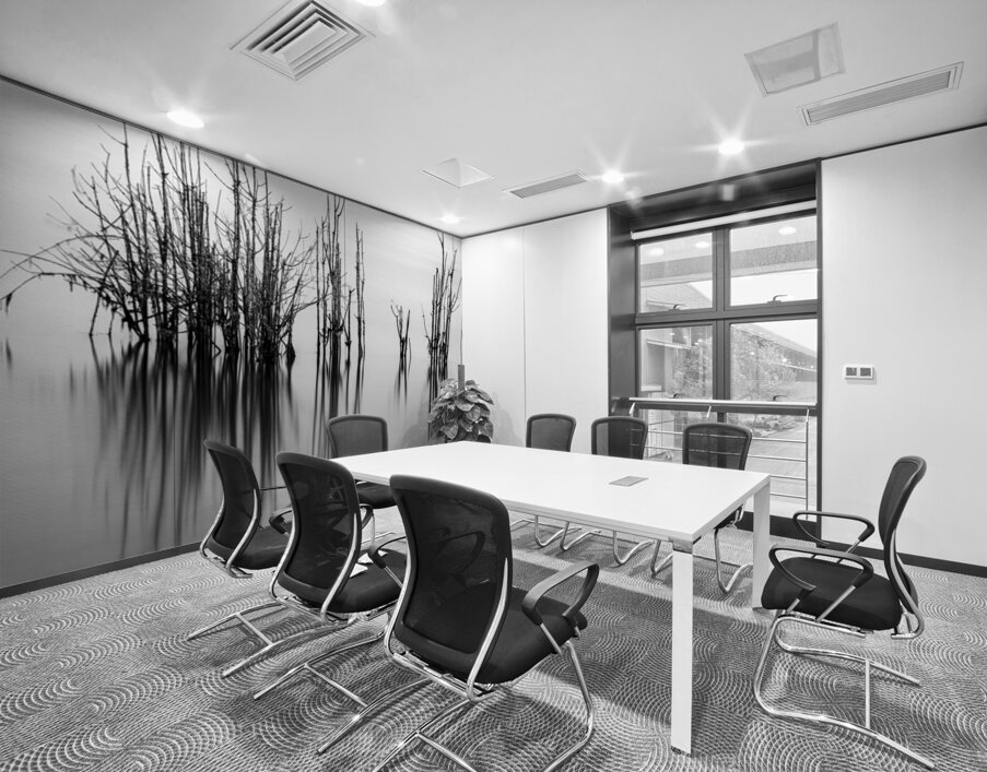 7240 Shadows Wall Printing