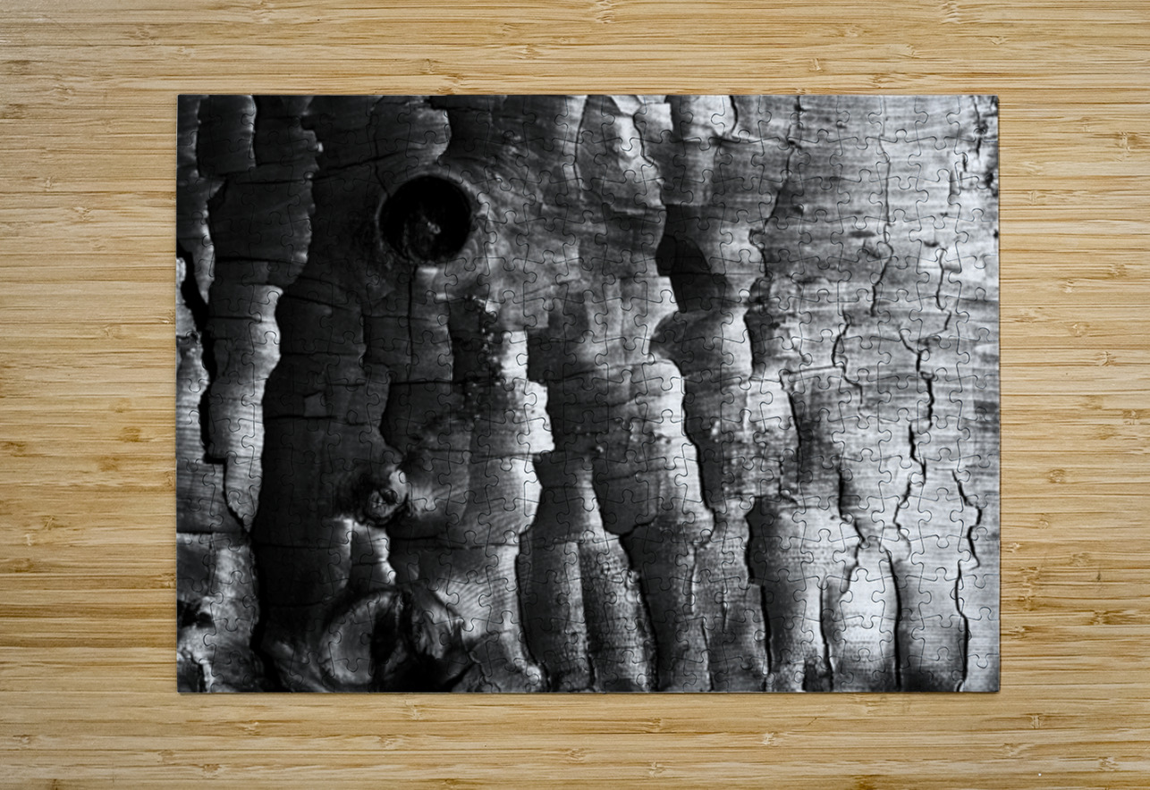 3650 Charred Wood Searching Lens Photography Puzzle printing