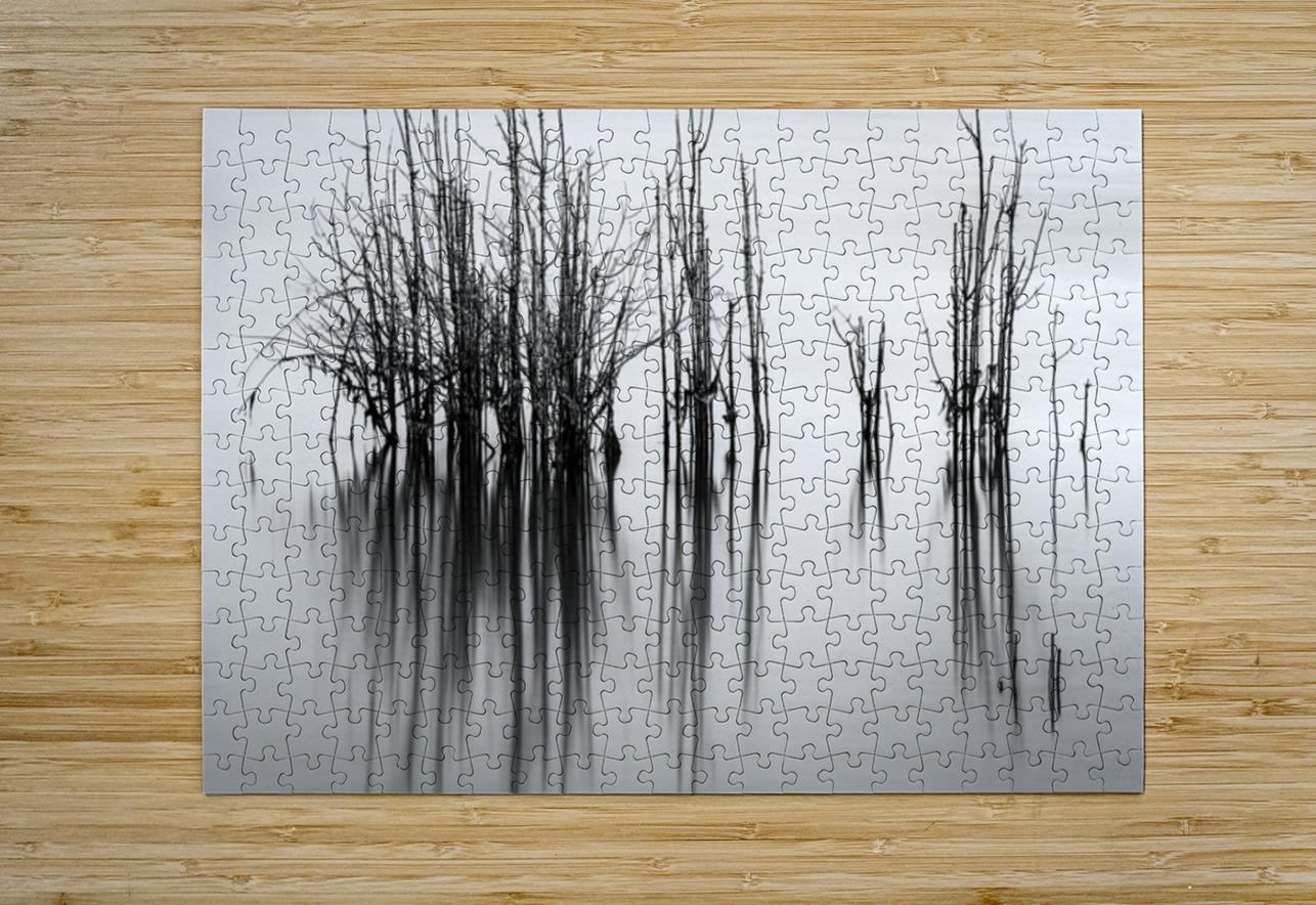 7240 Shadows Searching Lens Photography Puzzle printing