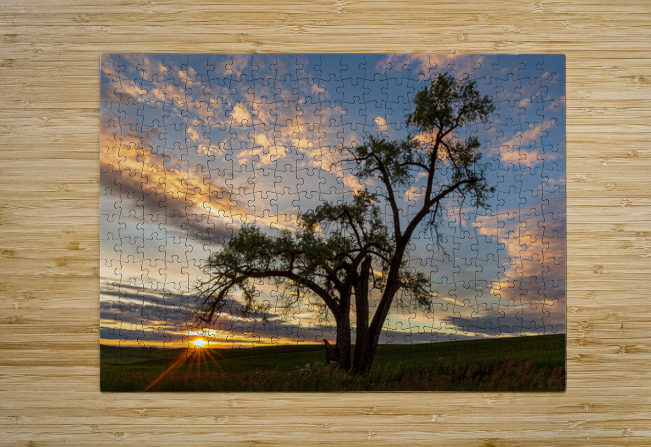 8455 Palouse Searching Lens Photography Puzzle printing