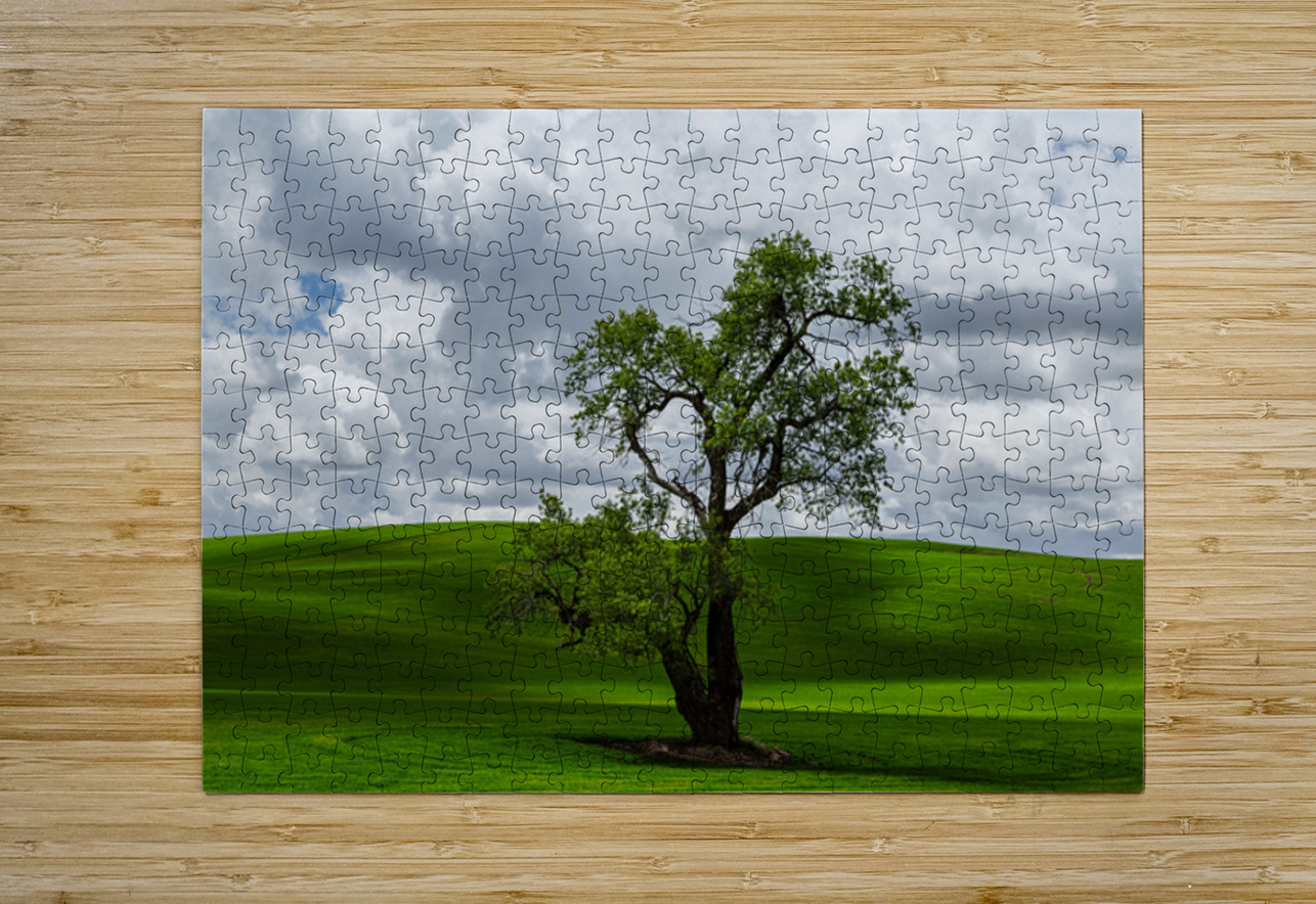 8720 Palouse Searching Lens Photography Puzzle printing