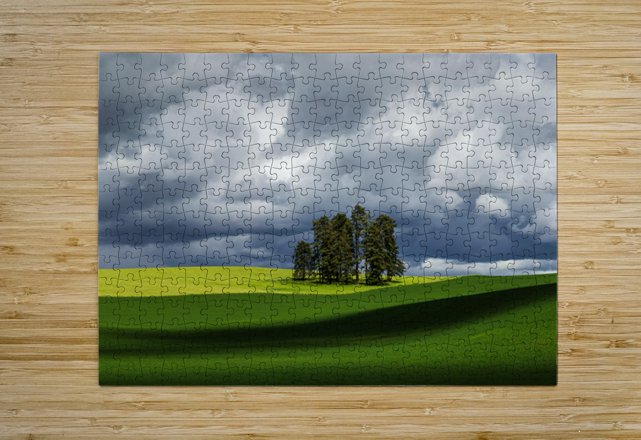 8806 Palouse Searching Lens Photography Puzzle printing