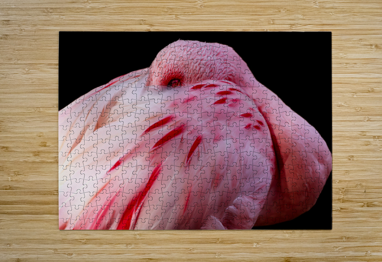 0212 Flamingo Searching Lens Photography Puzzle printing