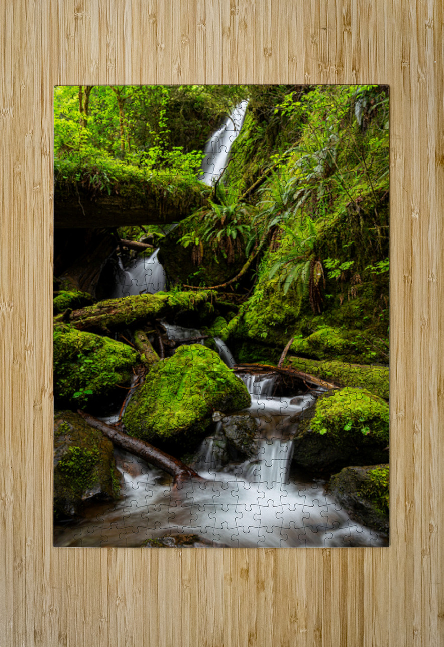 0333 Merriman Falls Searching Lens Photography Puzzle printing