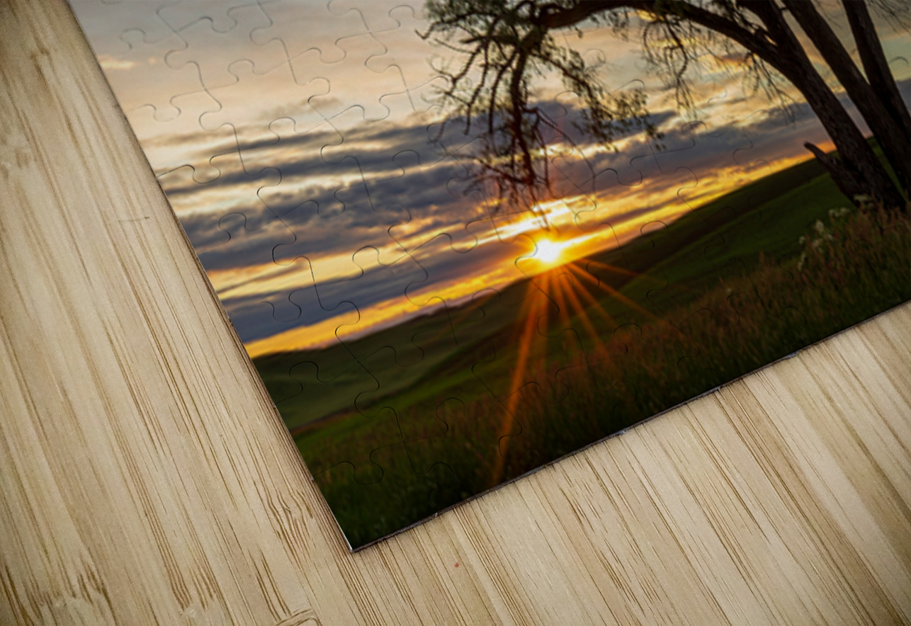 8455 Palouse Searching Lens Photography Puzzle