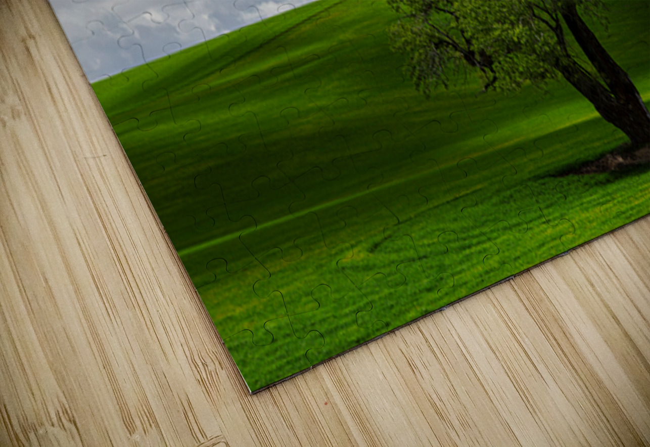 8720 Palouse Searching Lens Photography Puzzle