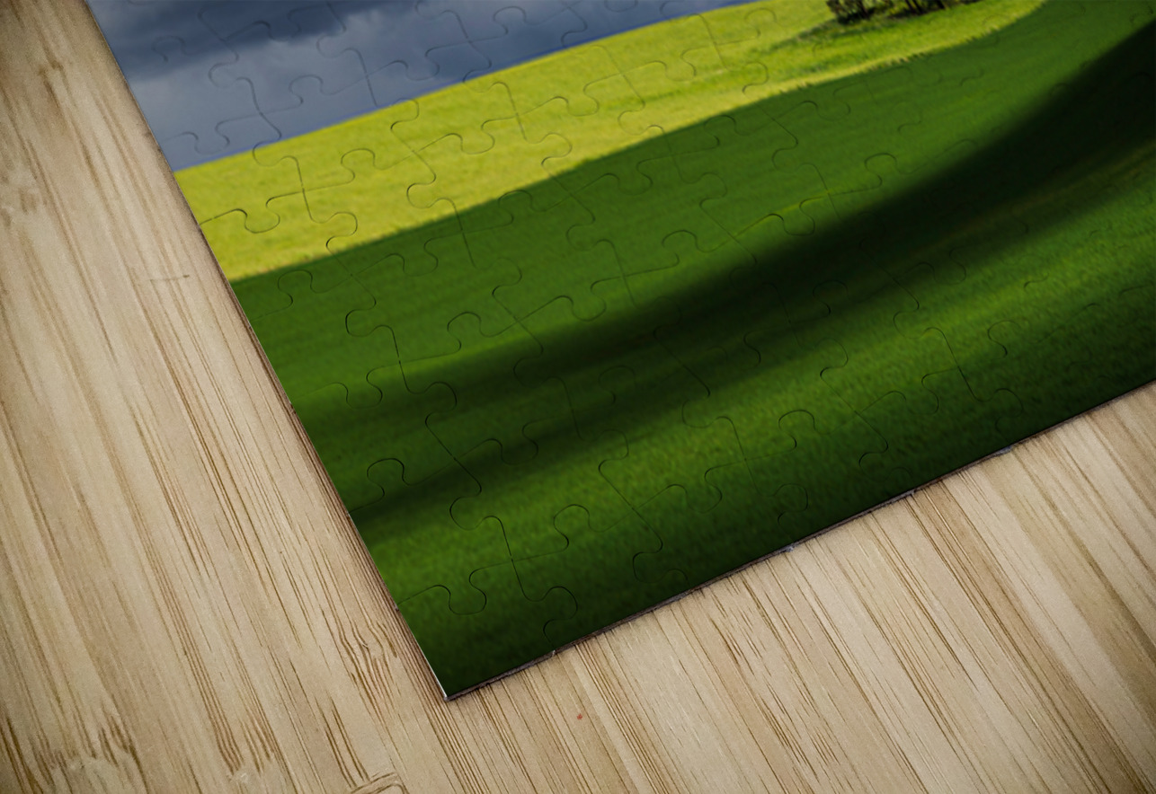 8806 Palouse Searching Lens Photography Puzzle