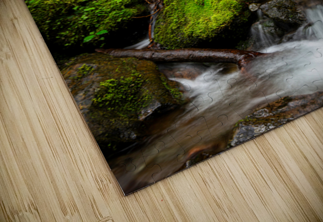 0333 Merriman Falls Searching Lens Photography Puzzle