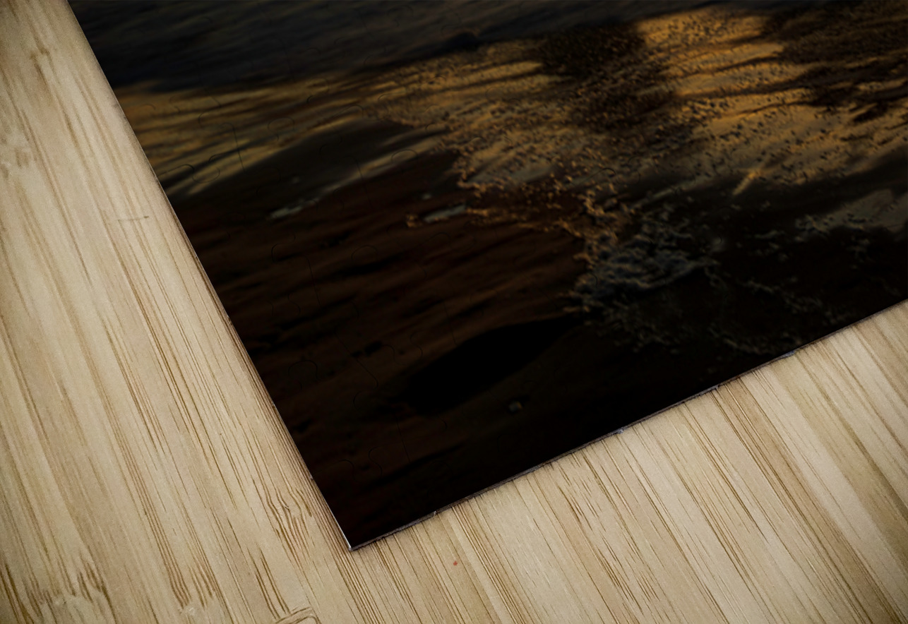 3950 Bandon Beach Searching Lens Photography Puzzle