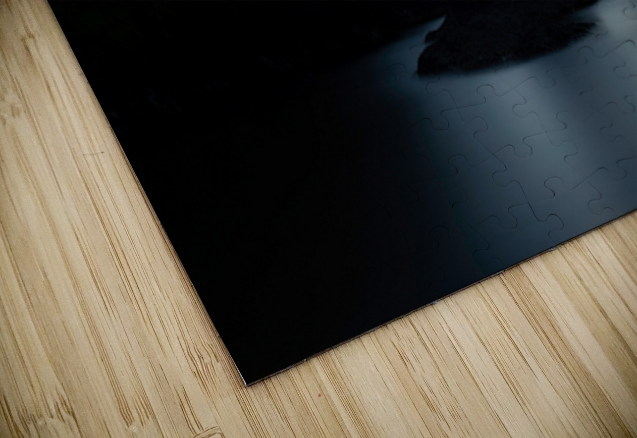 07A0160 Deadman’s Cove Searching Lens Photography Puzzle