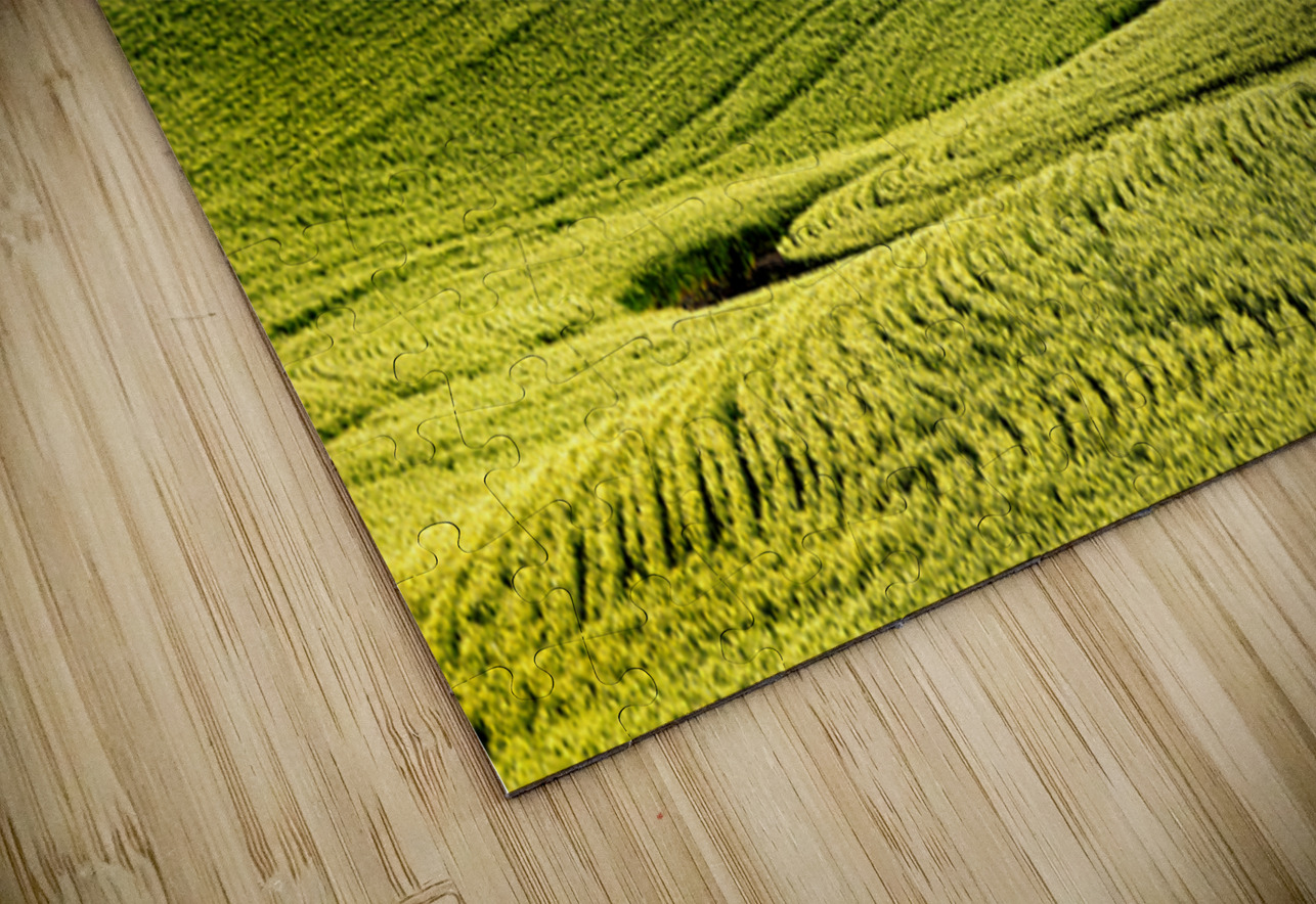 SLP0304 Palouse Searching Lens Photography Puzzle