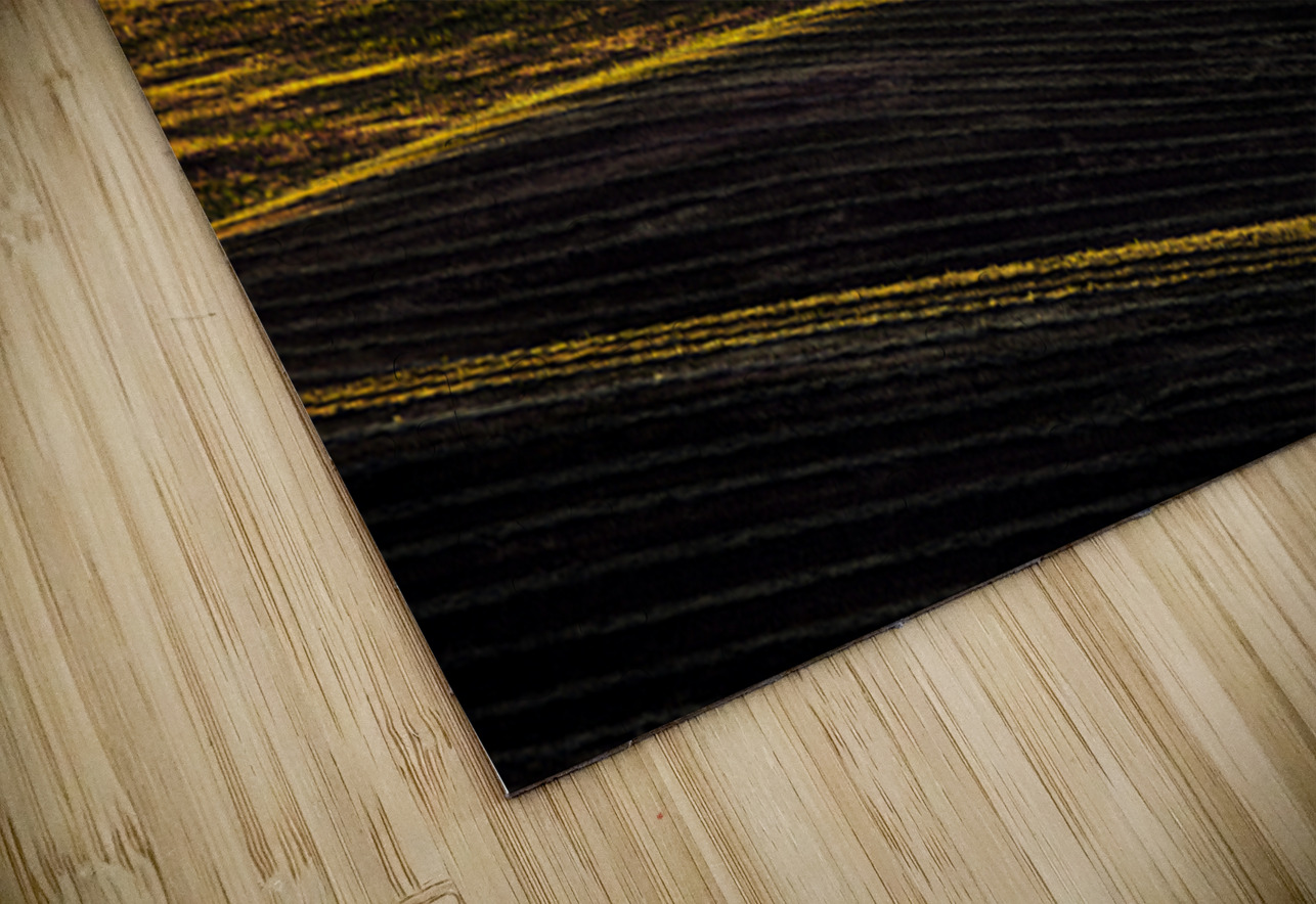 SLP0401 Palouse Searching Lens Photography Puzzle